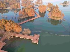 -贡湖湾湿地公园