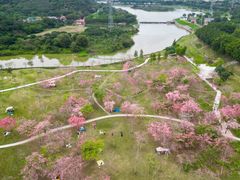 -风云岭森林公园