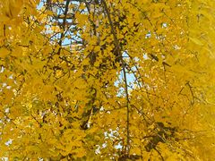 -旺角小渔村(二马路店)