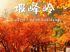 -周口店坡峰岭风景区