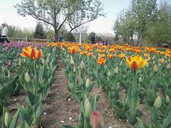 -长春公园(普阳街道)