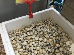 -蚝专家(北滘店)