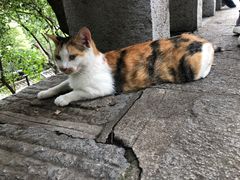-桂萍特色牛筋牛杂(长堤街总店)