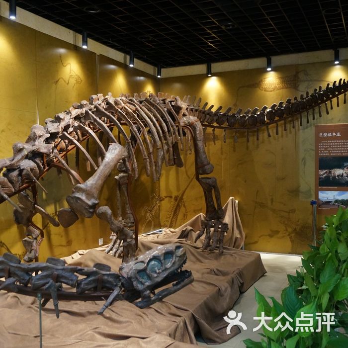 中国地质博物馆图片
