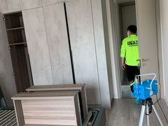-绿色亿家除甲醛机构