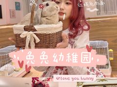 -猫猫幼稚园·撸猫·桌游·电玩