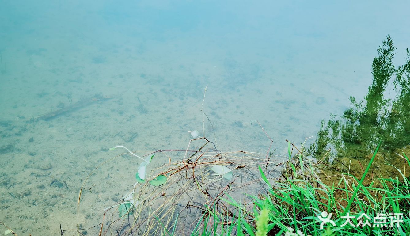 春天怎可不出去野餐煮茶呢？