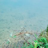 春天怎可不出去野餐煮茶呢？