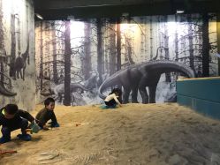 -恐龙探索乐园(磁器口店)