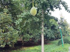 -蜀冈西峰生态公园