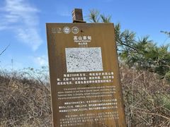 -王顺山国家森林公园