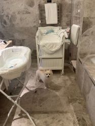 -baby bella小贝拉母婴护理中心(北京东隅店)