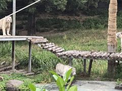 -宁波野生动物园