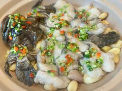 蒜子焗老虎斑-顺味凤城·顺德菜专门店(九六广场店)