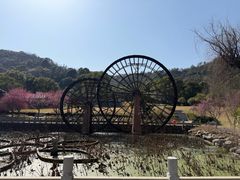 -庐山三石饭店·山里土菜(庐山店)