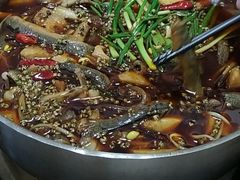 -邱氏胖泥鳅(大堰店)