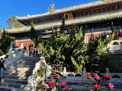 -潭柘寺景区