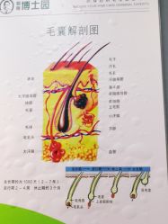 -博士园·女士严重脱发生发中心