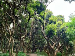 -荔香公园