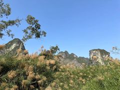 -明仕田园