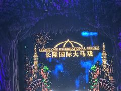 -广州长隆国际大马戏