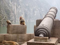 -白帝城·瞿塘峡景区