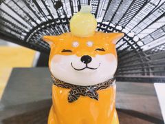 -柴务处·柴犬主题狗咖