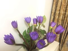 -盒马鲜生(曜一城店)