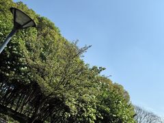 -蠡湖大桥公园