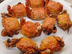 -连鹭海鲜·海肠捞饭·海胆饭(星海店)
