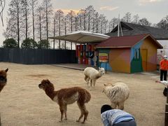 -太阳岛度假酒店