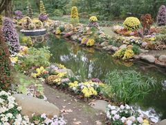 -上海共青森林公园