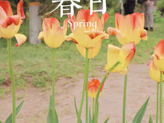-陕西省西安植物园