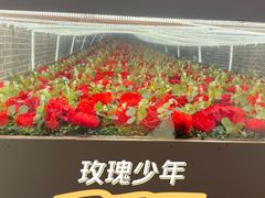 -好玩工厂密室·鹅鸭杀·桌游拼豆电玩
