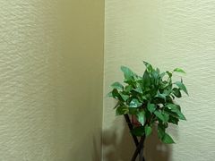 -焕醒·川派采耳(云街店)