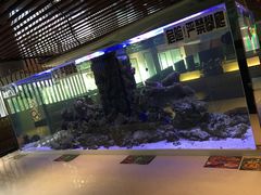 -西玛西餐厅(乐晟广场店)