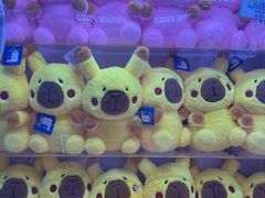 -凯德MALL(望京店)