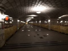 -紫轩葡萄酒庄园