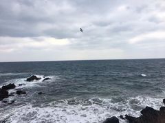 -龙头岩(Dragon Head Rock)