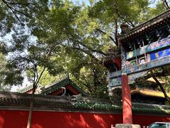 -北京国子监胡同