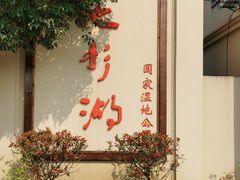 -池杉湖湿地公园