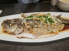 -老牌坊鲁菜名店(聊城美食岛店)