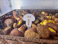 -蘑界·野生菌火锅(深业上城店)