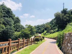 -梅岭月亮湾山体公园