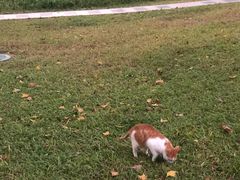 -荔香公园