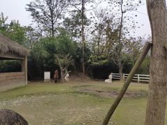 -都江堰玫瑰花溪谷