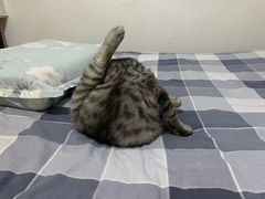-美迦爱-牙专科·兔科·骨科诊疗中心(北苑店)