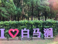 -白马涧龙池景区