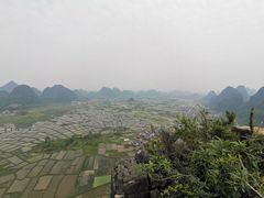 -会仙湿地