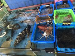 水产区-七鲜渔港美食餐厅(巽寮湾海景店)